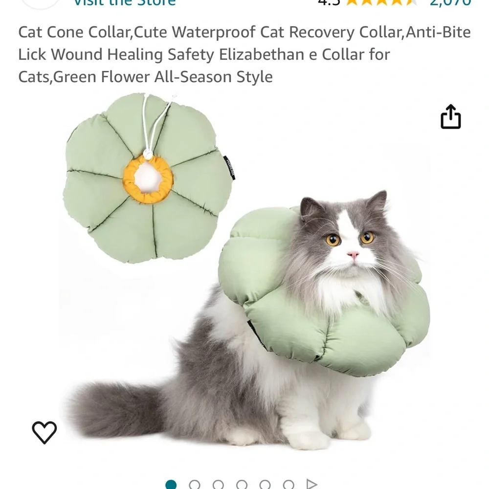 Cat cone collar